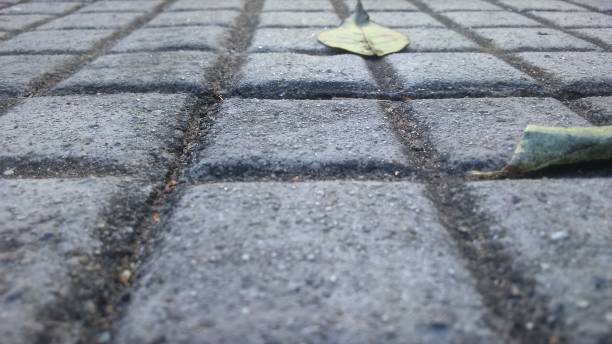 istock Near view of a cement floor 887740632