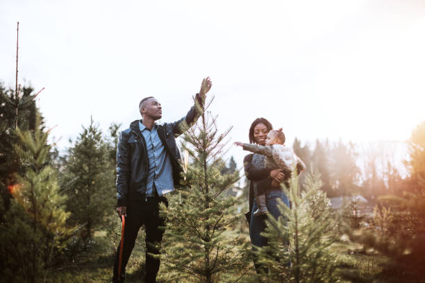 istock Young Family Selecting Christmas Tree 887749412