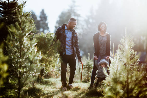 istock Young Family Carrying Christmas Tree 887749964