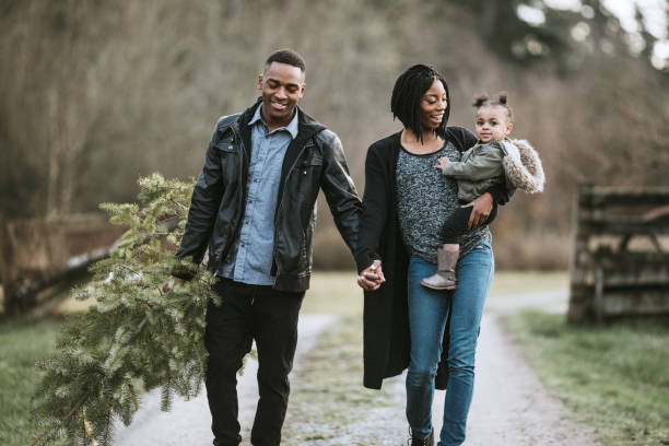 istock Young Family Carrying Christmas Tree 887768606