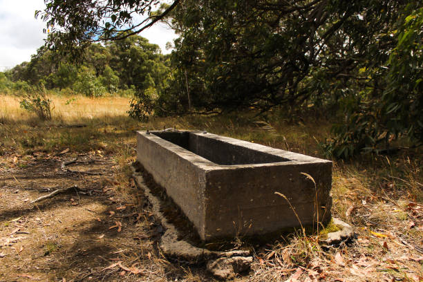 istock stock watering trough in rural Australia 887781588