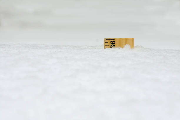 istock Ruler in Snow 36 Inches Close 887781932