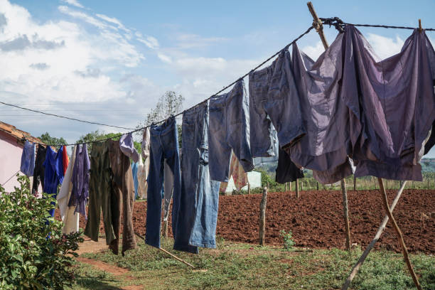 istock hanged clothes in order to dry at garden 887792194