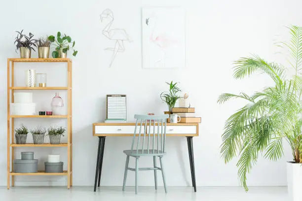 Grey chair at desk against white wall with poster in home office with plants on wooden shelves