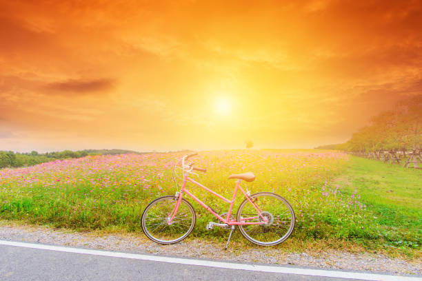istock beautiful landscape image with pink bicycle at sunset 887807258