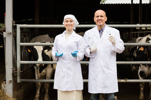 istock Veterinarians standing with laboratory glass 887807578
