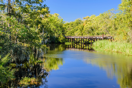 An old, dilapidated railroad bridge in the Guste Island marsh crossing a cypress slough
