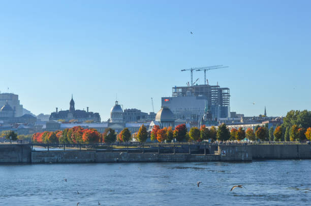 panorama du centre-ville de montréal - montreal harbor old commercial dock photos et images de collection