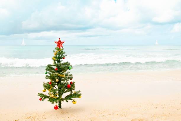 istock Christmas Tree on Beach with Sailboats in Background 887822332