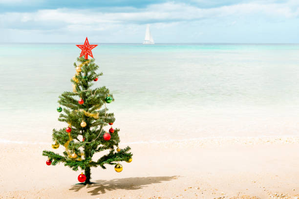 istock Christmas Tree on the Beach with Ocean and Sailboat in Background 887822334