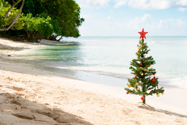 istock Christmas Tree Planted on Sand in Sunny Beach 887822336