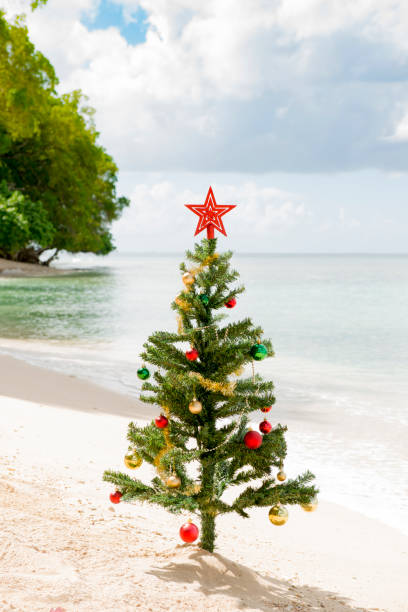 istock Decorated Christmas Tree Planted by the Sea Shore 887822338