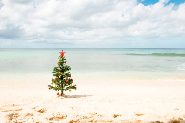 istock Christmas Tree Standing by the Sea Shore Under Cloudy Skies 887822344