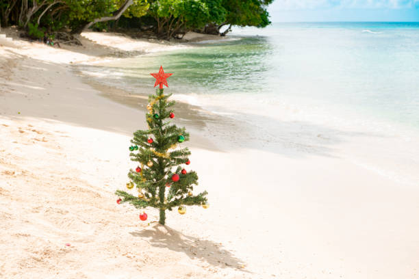 istock Decorated Christmas Tree Standing by the Sea Shore 887822346