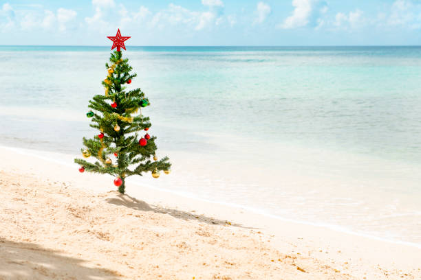 istock Christmas Tree Standing by a Sunny Beach 887822354