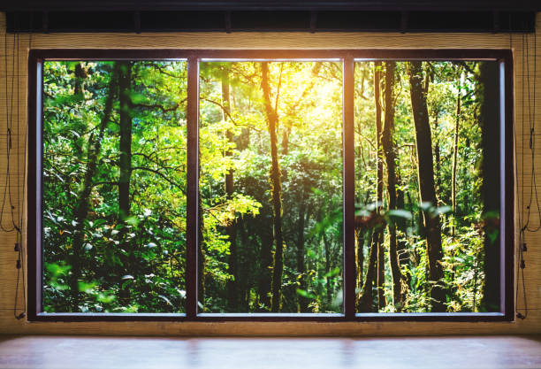 Window With View Forest 81,300+ Window Forest Stock Photos, Pictures & Royalty-Free Images - iStock