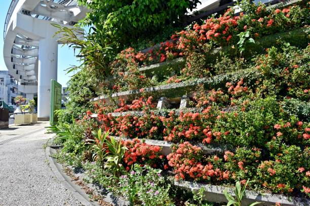 istock Around the nature-friendly Okinawa Monorail 887849658