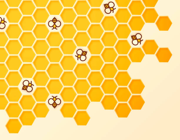 Beehive Beehive and bees abstract symbols. hexagon illustrations stock illustrations