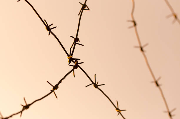 istock barbed wire against the sky at sunset 887867332