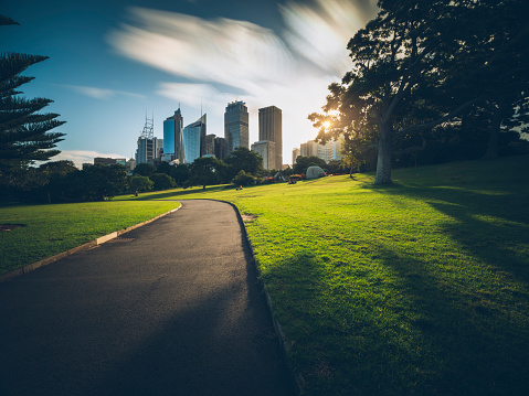 walkway  in the Royal Botanic Gardens leads to skyscrapers in the Sydney, Australia.