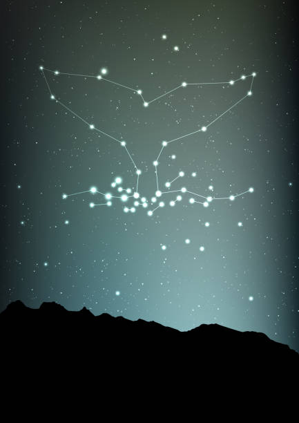 istock Whale constellation vector art. Sea whale in constellations and star on night sky and forest landscape. Starry whale in deep dark sky with line and shiny dots 887890958