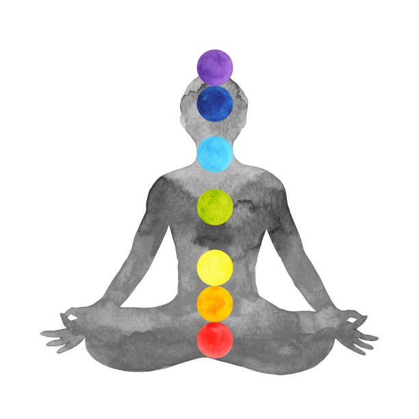 ilustraciones, imágenes clip art, dibujos animados e iconos de stock de 7 chakra color lotus pose yoga ilustración de diseño acuarela dibujado a mano - chakra