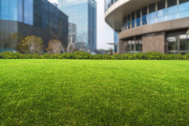 istock Business district and green 887898808