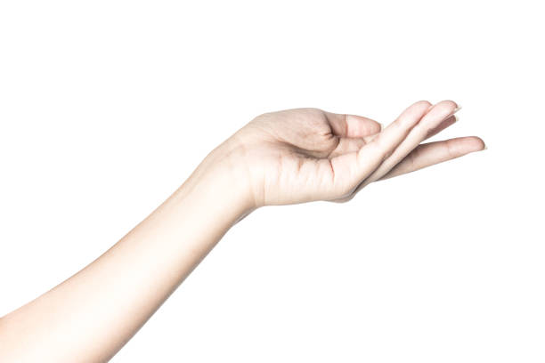 istock beautiful  hand isolated on white background 887898884