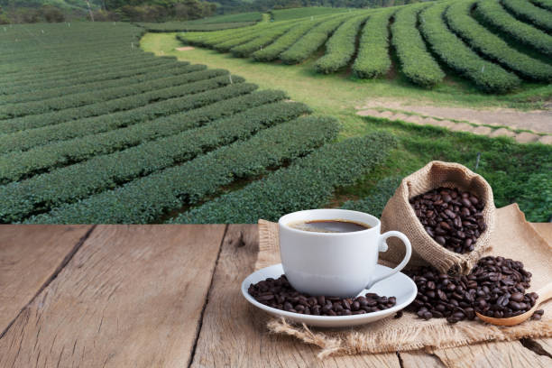 istock coffee cup and coffee beans on old wood plank background. 887920528