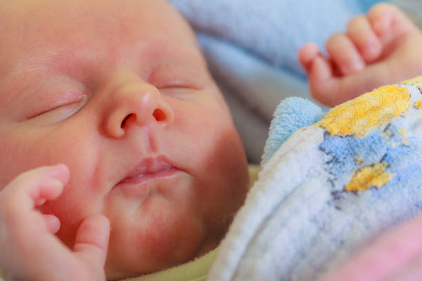 istock Little newborn baby sleeping calmly in blanket 887954342
