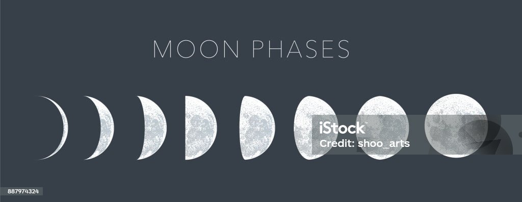 moon phases dot vector background moon phases dot vector background, lunar phases Moon stock vector