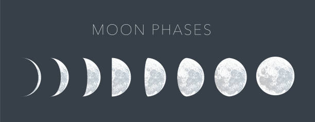 moon phases dot vector background moon phases dot vector background, lunar phases space exploration illustrations stock illustrations
