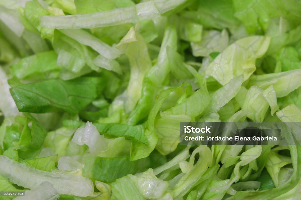 Eisberg salad in close up Eisberg salad in close up scene Iceberg Lettuce Stock Photo
