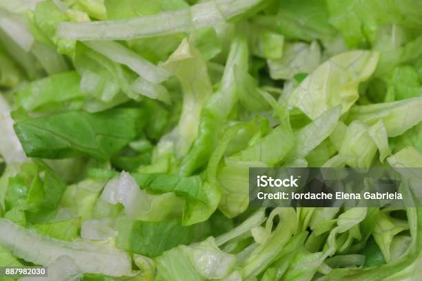 Eisberg Salad In Close Up Stock Photo - Download Image Now - Iceberg Lettuce, Slice of Food, Agriculture