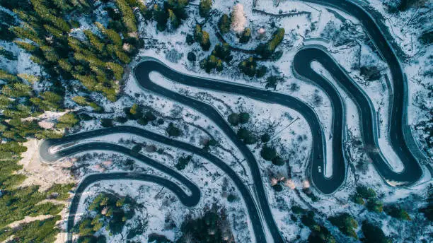 Scenic aerial view of forest in winter