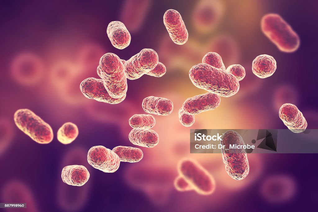 Porphyromonas gingivalis bacteria Porphyromonas gingivalis bacteria, 3D illustration. Anaerobic bacteria that cause periodontal disease, bacterial vaginosis, are probably associated with rheumatoid arthritis and esophageal cancer Bacterium Stock Photo