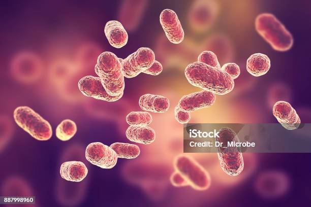 Porphyromonas Gingivalis Bacteria Stock Photo - Download Image Now - Bacterium, Oncology, Research