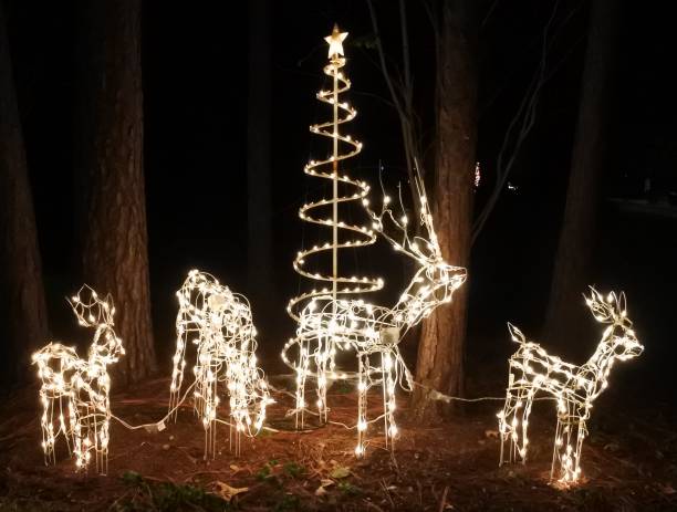 istock Illuminated Christmas Reindeer Decorations -- Night 887999014