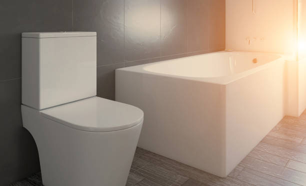 istock Clean and fresh bathroom with natural light. 3D rendering. Sun 888019564