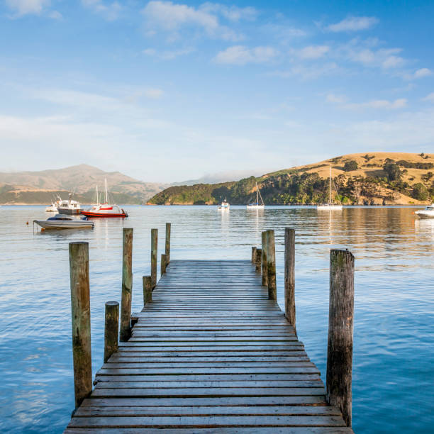 istock Jetty Akaroa New Zealand 888025144