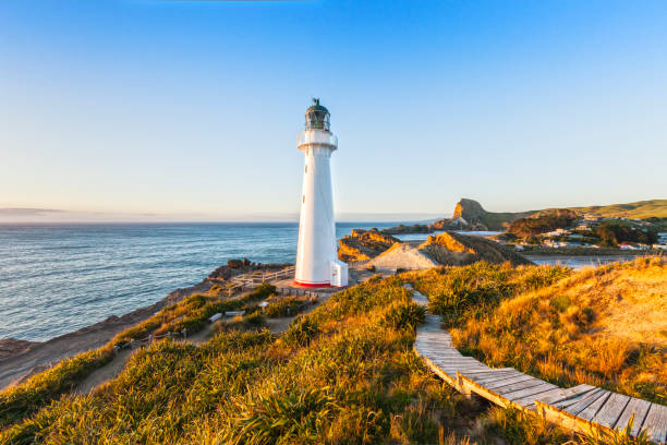 faro di castlepoint nuova zelanda - castlepoint foto e immagini stock