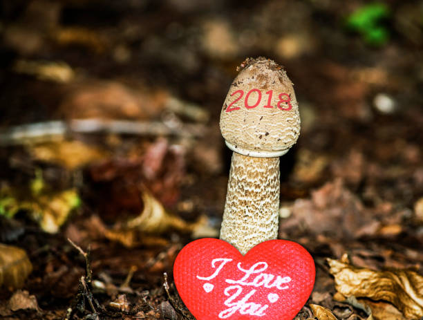 istock Happy New Year 2018 image with love quotes for girlfriend 888027054