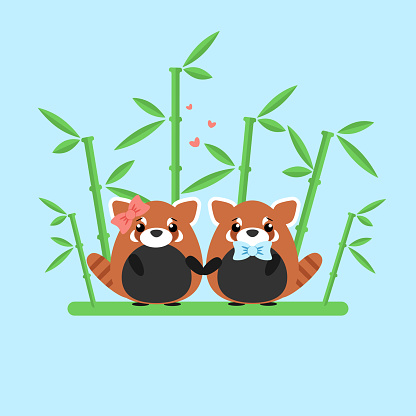 Vector illustration of red panda couple in love with ornate bamboo isolated on blue background. Romantic design elements and heart symbols with animals in flat style for Valentine day