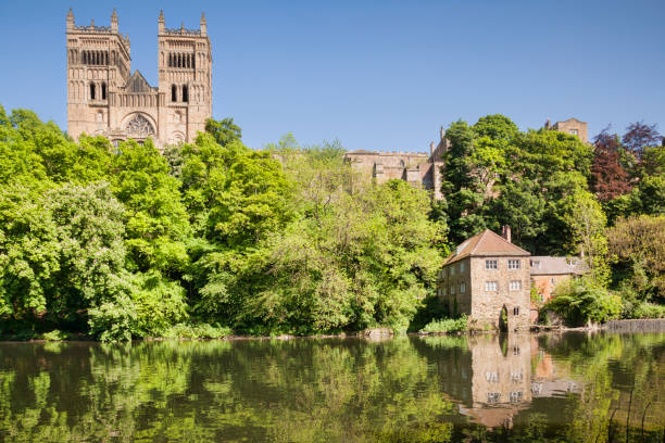 Durham Cathedral, England, UK Durham Cathedral, the Old Fulling Mill, now an archaeological museum, and the River Wear, County Durham, England, UK. dyrham stock pictures, royalty-free photos & images