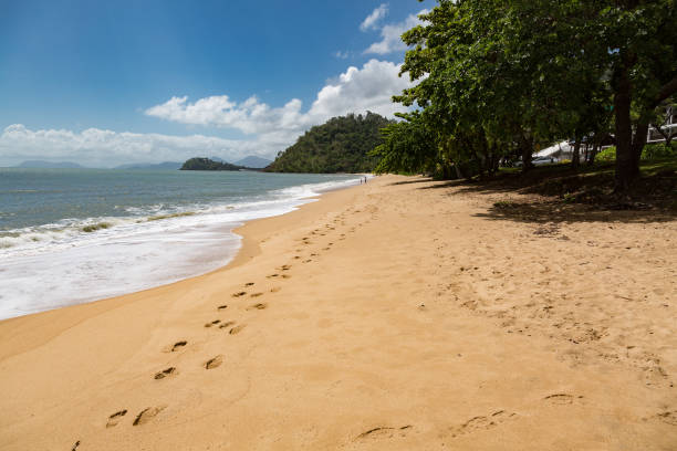 istock Trinity Beach Cairns Coral Sea Queensland Australia 888039754
