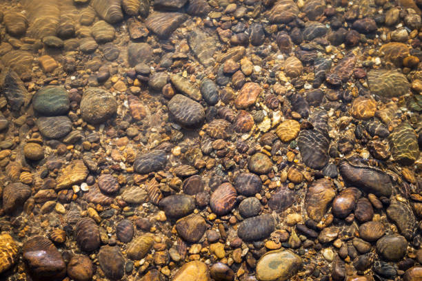 Abstract smooth round pebbles sea texture background