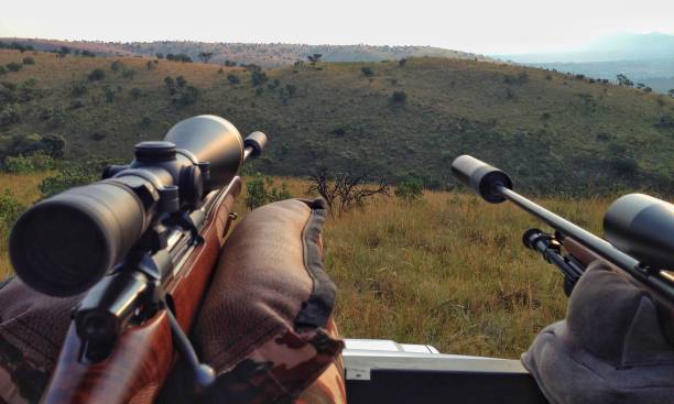 vista del cazador - visor de un rifle fotografías e imágenes de stock