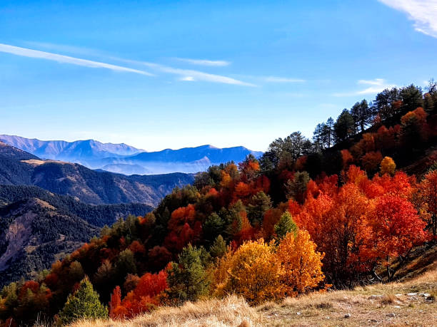 autumn landscape, mercatour national park, france - mercantour national park imagens e fotografias de stock