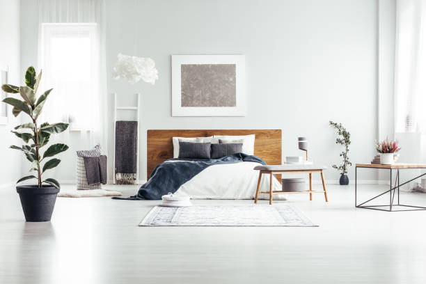 istock Plant in spacious white bedroom 888090180