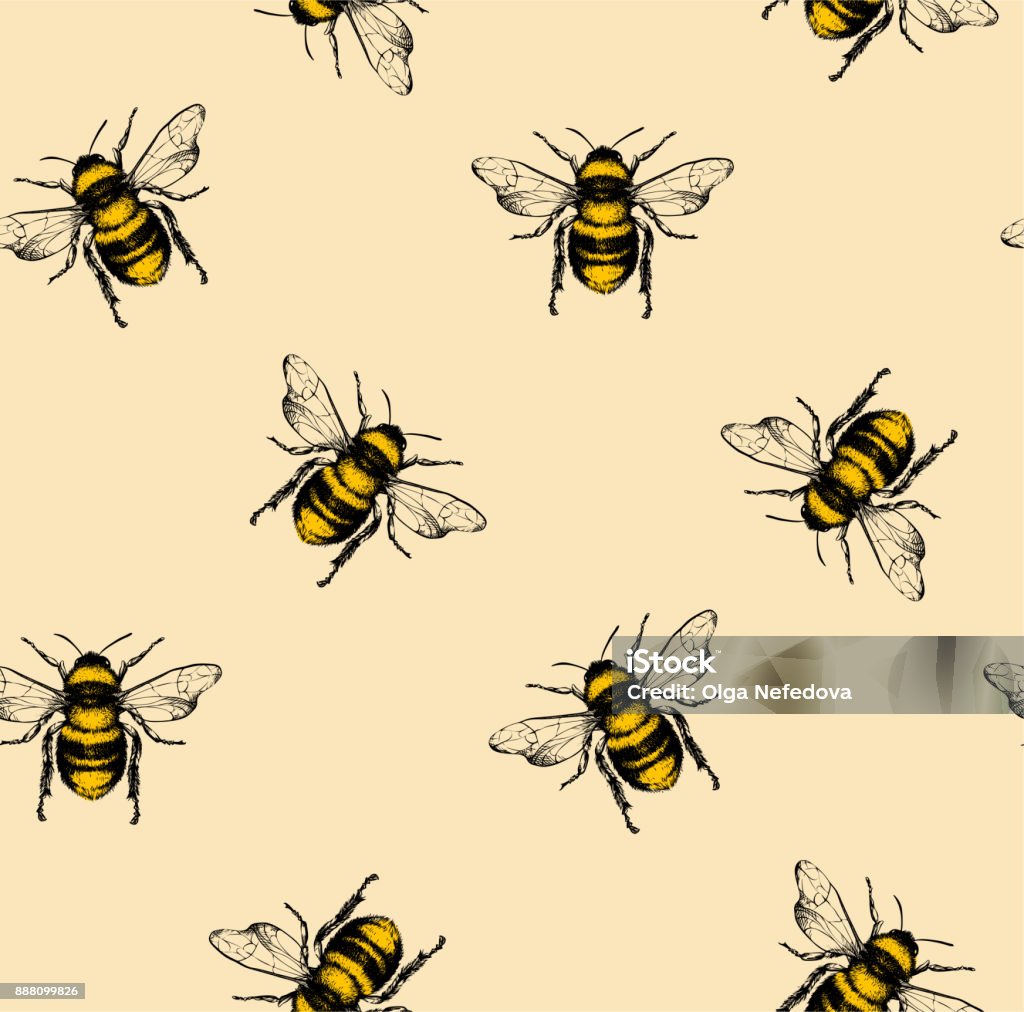 Vector pattern with honey bee. - Royalty-free Abelha arte vetorial